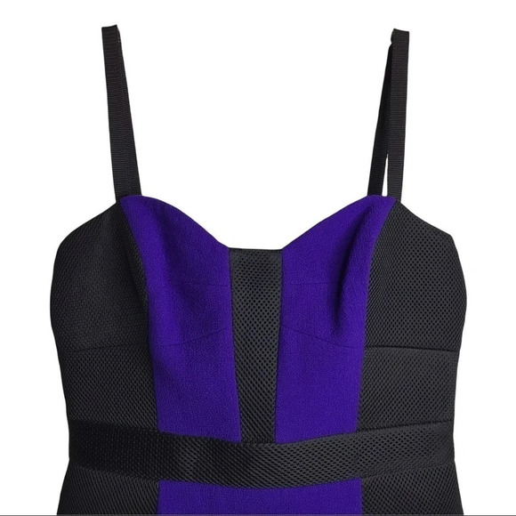 Milly Clarisse Dress Sz 8 Purple Vintage Bustier Cocktail Homecoming Formal EUC - Picture 5 of 10